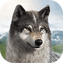 新濠4776汉化版下载-新濠4776汉化版2026最新版下载v1.0.71